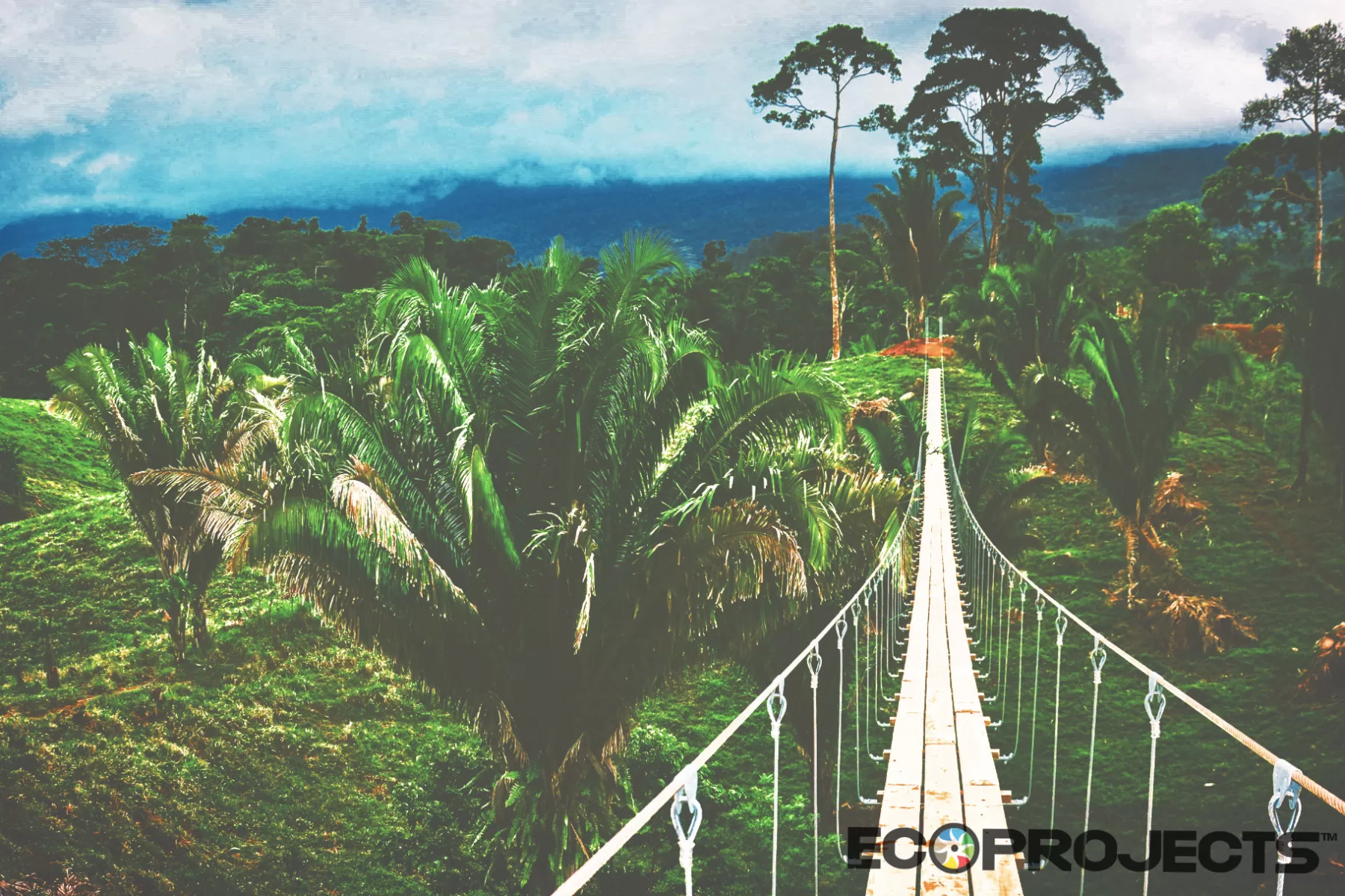 Ecoproparks | Puentes Colgantes